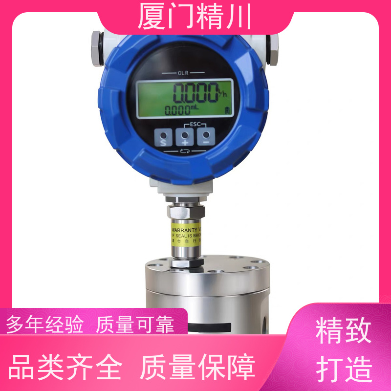 精川股份 冷却液 不锈钢齿轮流量计 可测液体1L/H 生产十多年