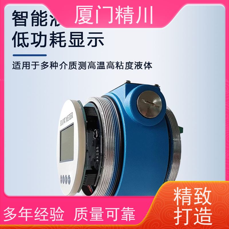 精川股份 加药控制 防腐型齿轮流量计 可测液体1L/H 只为您好用