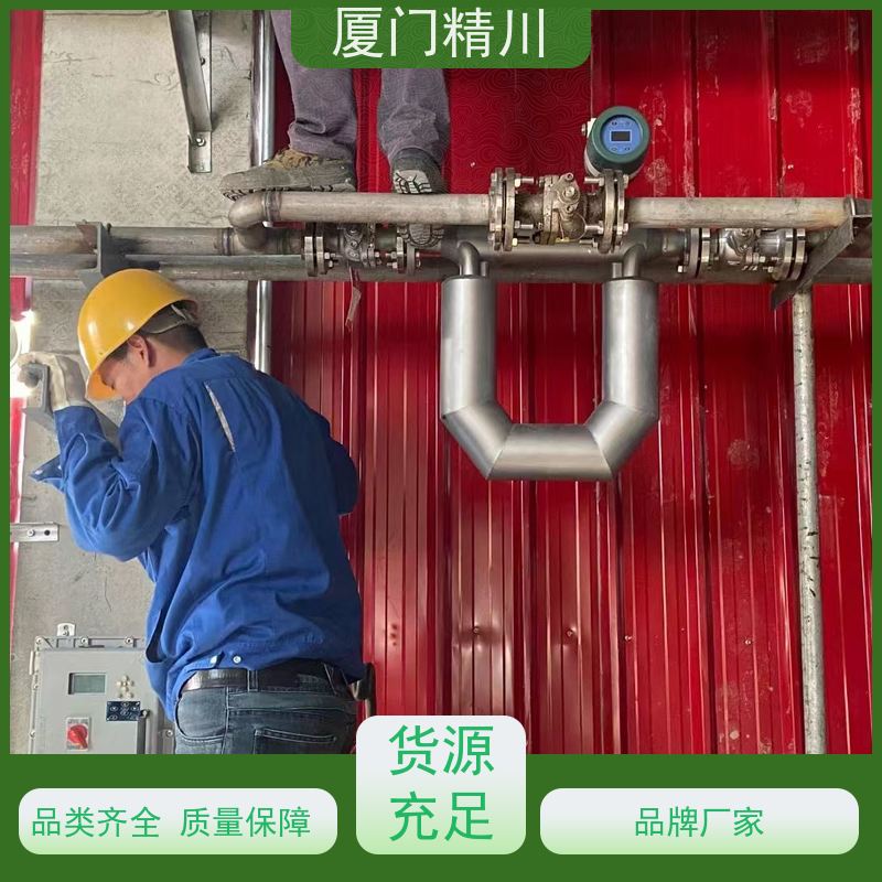 精川 制药厂小口径质量流量计 连接方式支持定制 省心