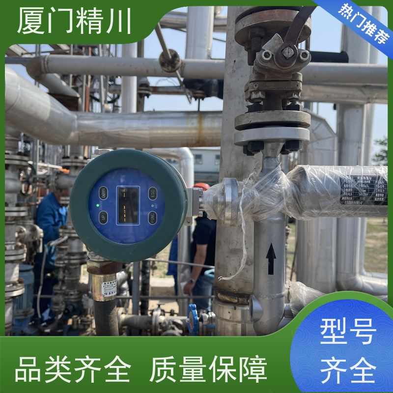 精川股份 大学实验室DN1质量流量计 连接方式支持定制 省心