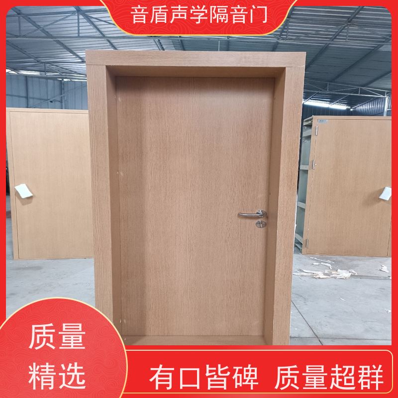 音盾科技 钢琴房 防火隔声门 品质保证 源头工厂