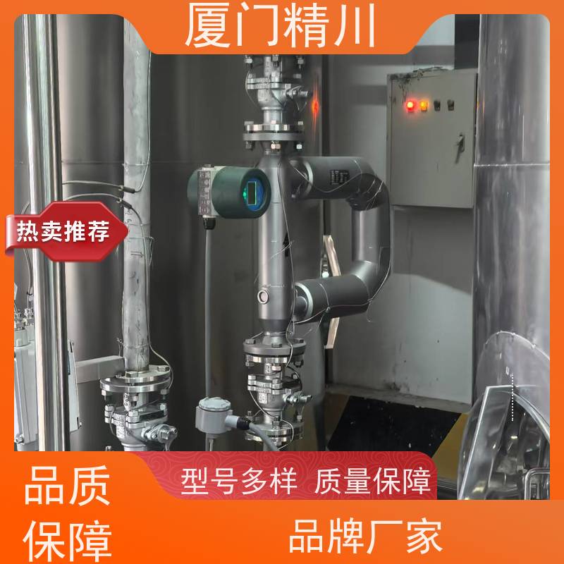 精川 制药厂小口径质量流量计 连接方式支持定制 更放心