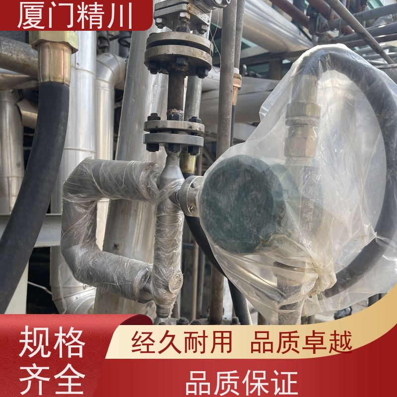 精川股份 制药设备小口径质量流量计 精度0.2级 更耐用