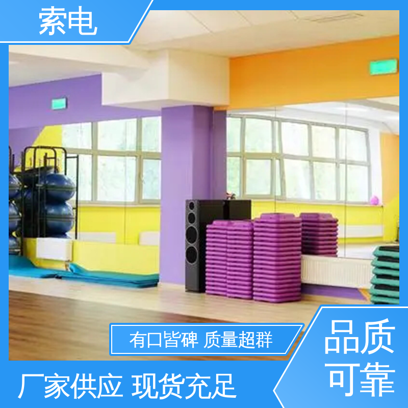 索电 感觉统合训练器材 范围广 量表标准化 分析