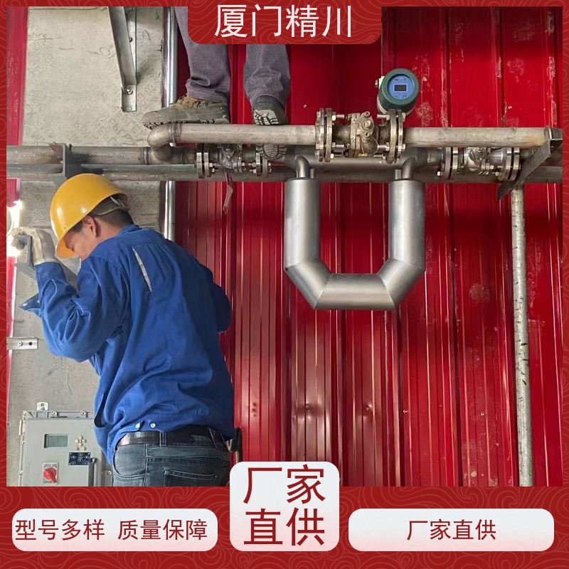 精川股份 大学实验室小口径质量流量计 精度0.2级 有保障