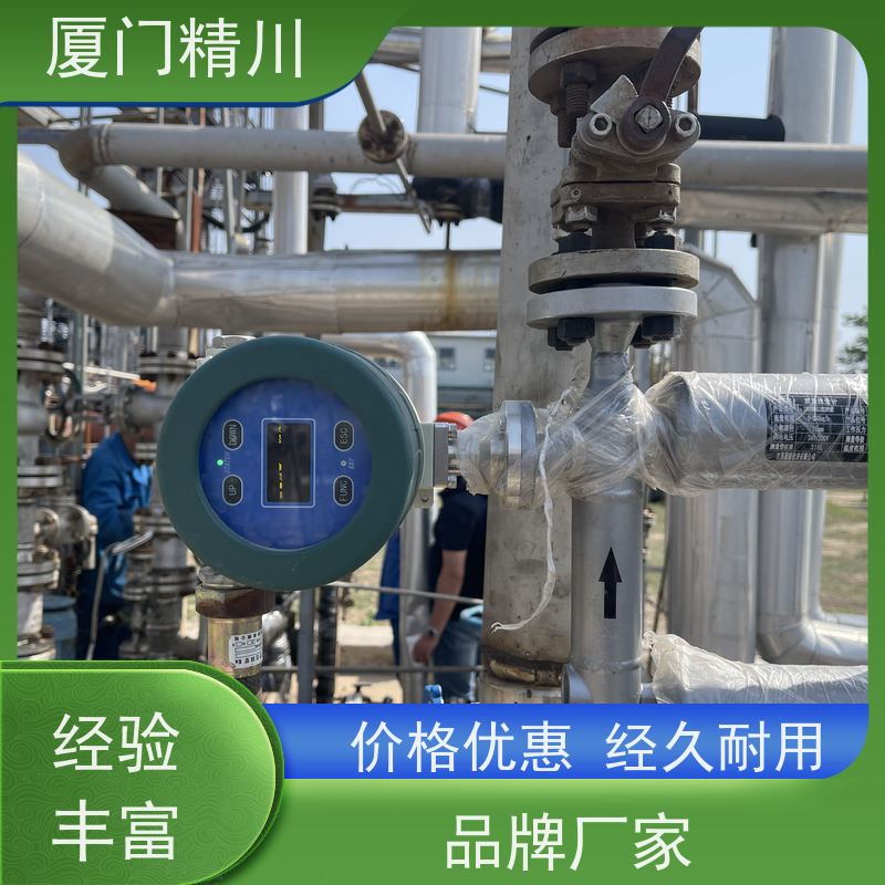 精川股份 大学实验室DN1质量流量计 支持定制 更放心