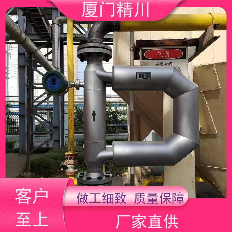 精川股份 制药设备气体质量流量计 连接方式支持定制 更放心