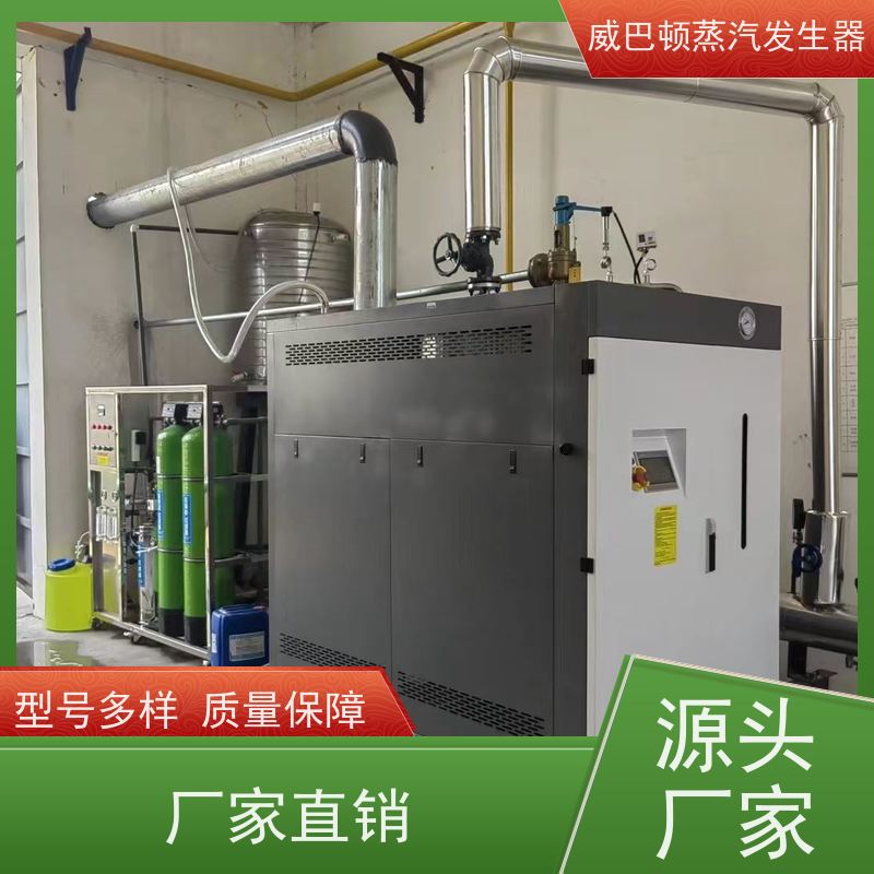  免特检 模块蒸汽发生器 热效率 101% 还省气 豆腐腐竹加工厂