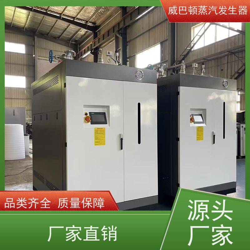  烘干熨烫 立式蒸汽锅炉 多台并联省气稳供 高温高压