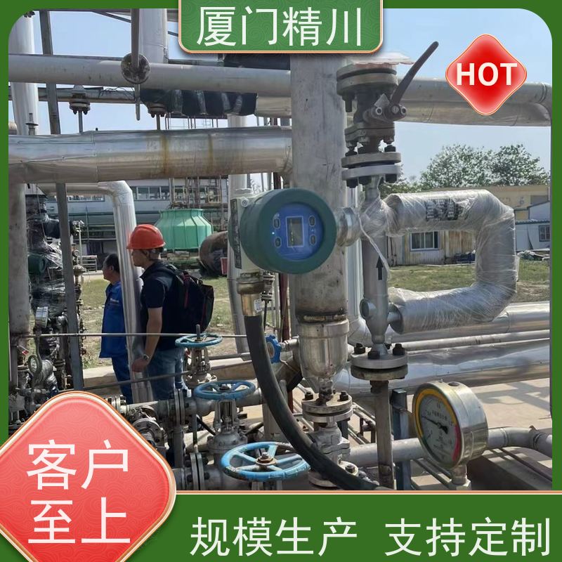 精川 大学实验室小口径质量流量计 精度0.2级 更放心