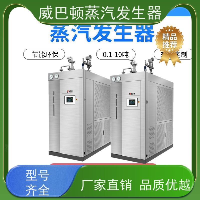  洗涤熨烫 6T蒸汽发生器 多台并联省气稳供 橡胶厂