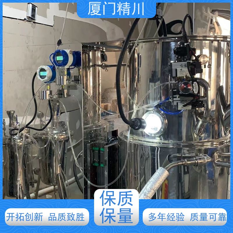 精川 制药设备 防腐型齿轮流量计 体积小 坚守品质