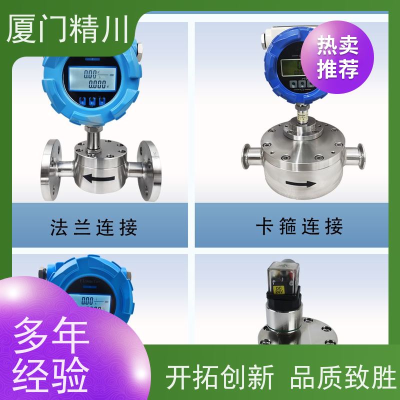 精川 化学药剂 PEEK材质圆齿轮流量计 每台实标合格出厂 保证品质