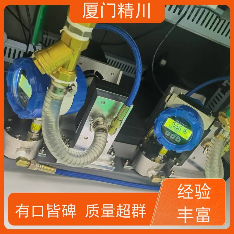 精川股份 聚氨酯 圆齿轮流量计 可测液体1L/H 只为您好用