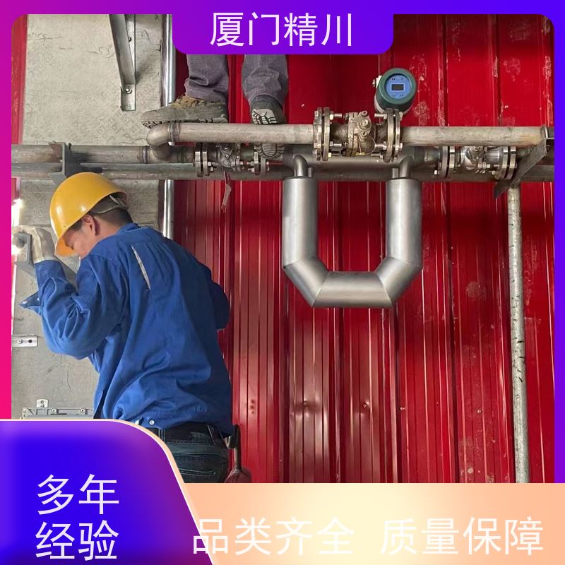 精川股份 制药设备液体质量流量计 精度0.2级 更耐用
