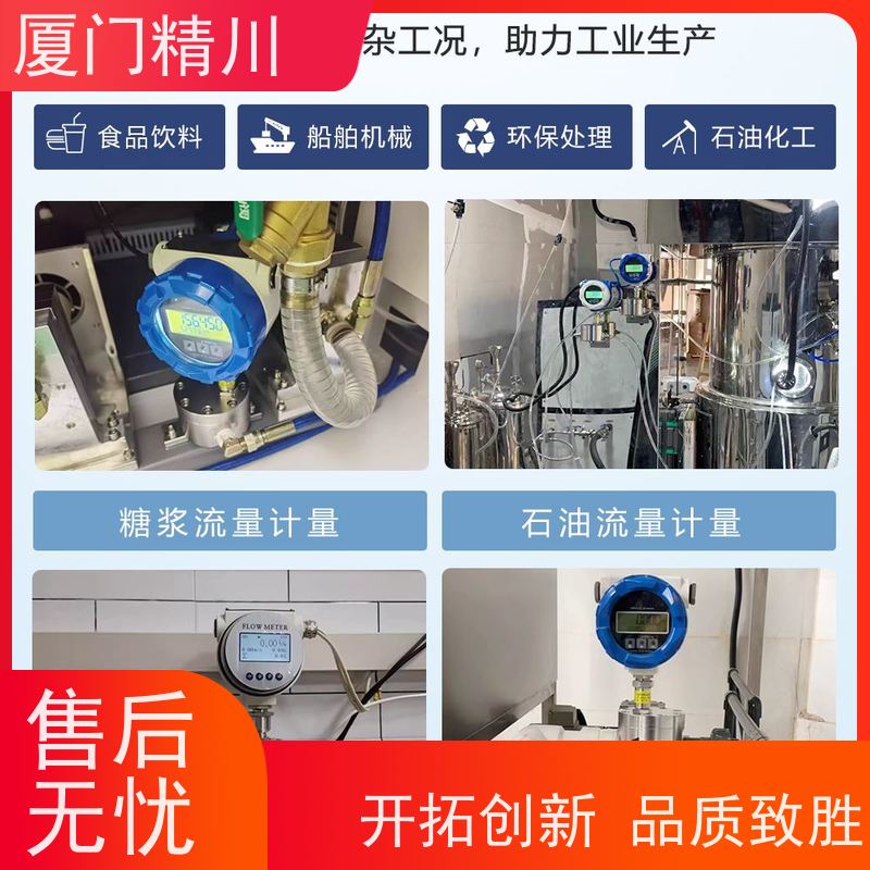 精川股份 加药控制 防腐型齿轮流量计 体积小 有多个真实案例