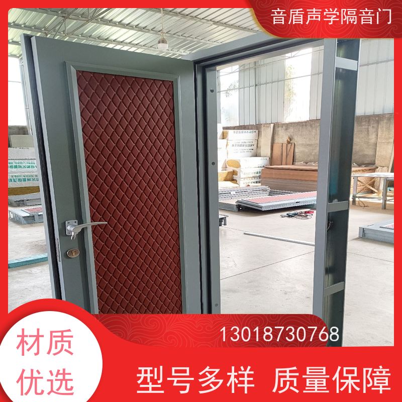 音盾科技 电影院 防火隔音门 品质保证 生产批发厂家