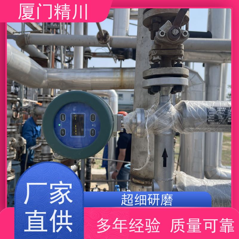 精川股份 锂电行业科氏力质量流量计 接液316L材质 更放心