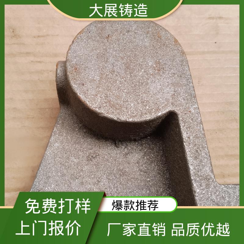 来图定制加工 车床主轴箱 球铁铸配件 大展供应