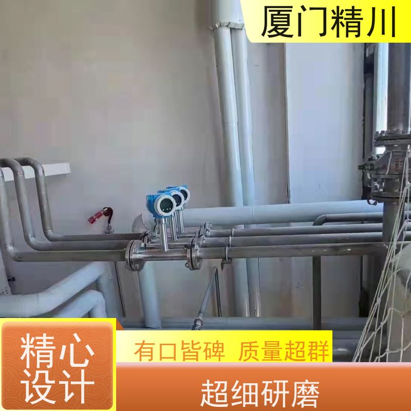 精川股份 高炉煤气 卡箍式靶式流量计 专测高粘度介质 支持定制