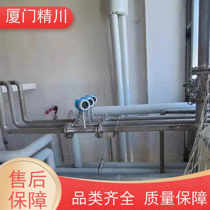 精川股份 菜油 对夹式靶式流量计 可测脏介质 性能稳定