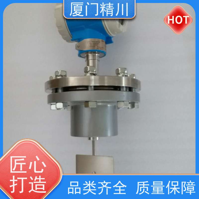 精川 猪油 在线可拆装靶式流量计 可测含杂质介质 支持定制