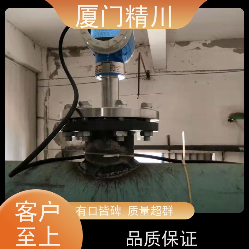 精川股份 矿物油 对夹式靶式流量计 专测高粘度介质 性能稳定