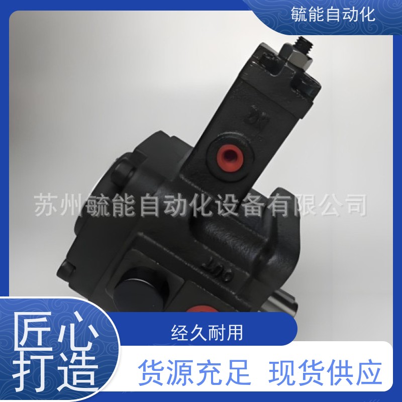 BST液压泵SV2-80R00-C2 BST叶片泵 BST油泵 双联泵