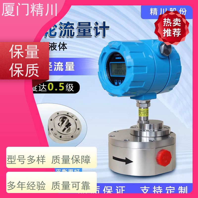 精川 点胶机 防腐型齿轮流量计 每台实标合格出厂 坚守品质