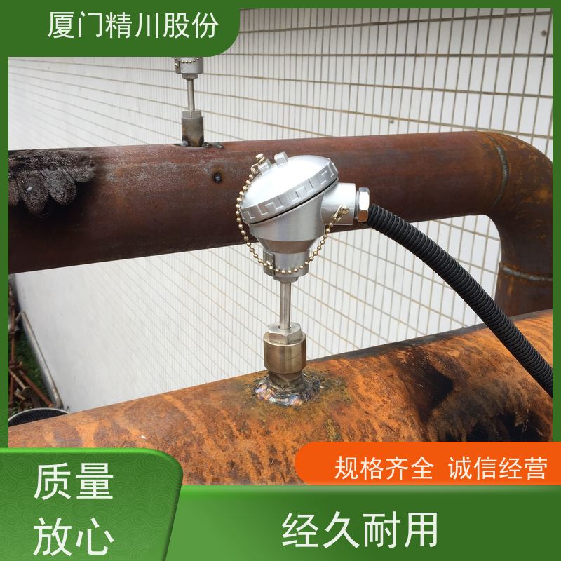 精川股份 皮革厂 导热油炉流量计 精度高 品质可靠