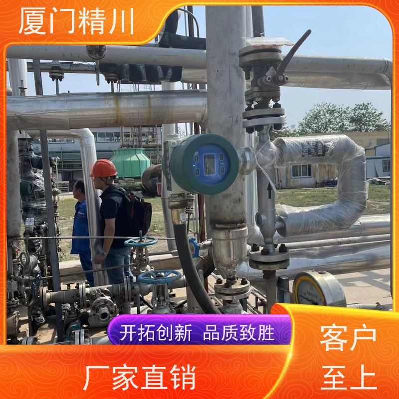 精川 半导体科里奥利质量流量计 精度0.2级 有保障