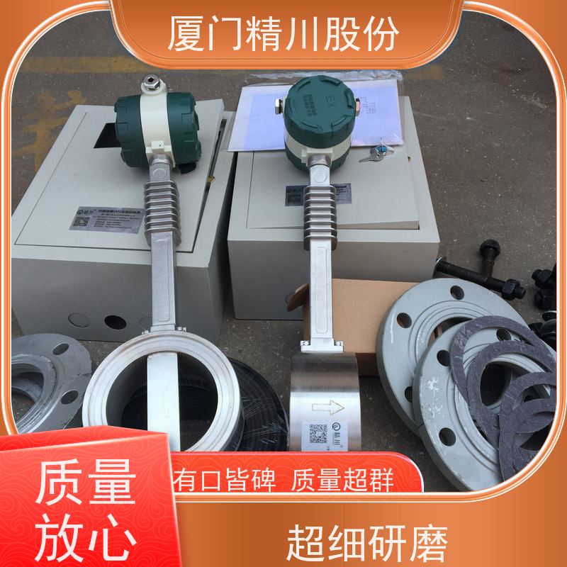 精川股份 橡胶厂 导热油炉流量计 自动计算能量 应用广泛