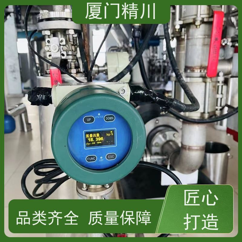 精川 食品厂气体质量流量计 连接方式支持定制 省力