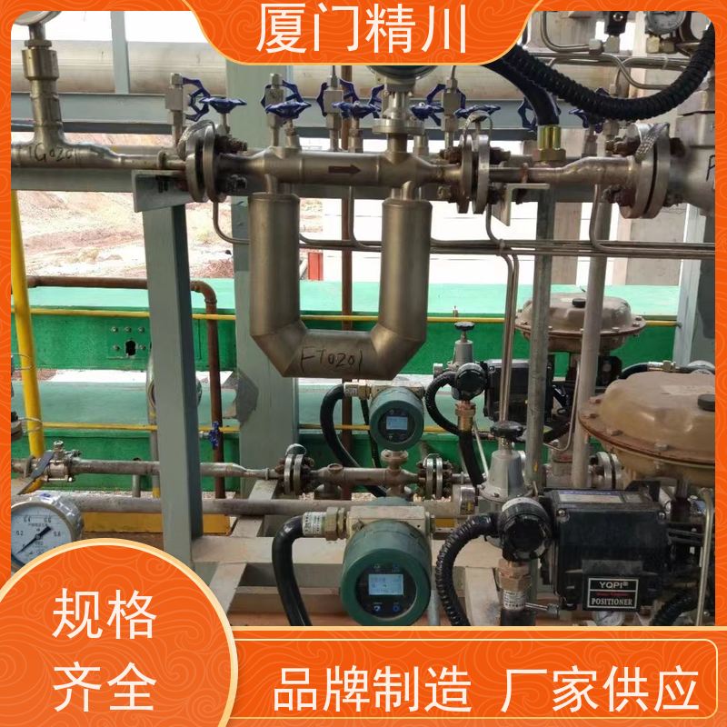 精川股份 大学实验室DN1质量流量计 接液316L材质 更耐用