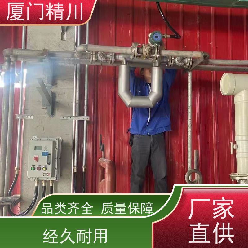 精川股份 设备配套U型质量流量计 精度0.2级 更放心