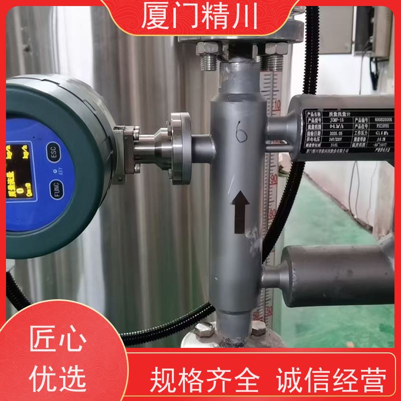 精川股份 锂电行业气体质量流量计 连接方式支持定制 更放心