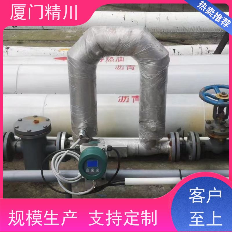 精川 制药设备DN1质量流量计 精度0.2级 更耐用