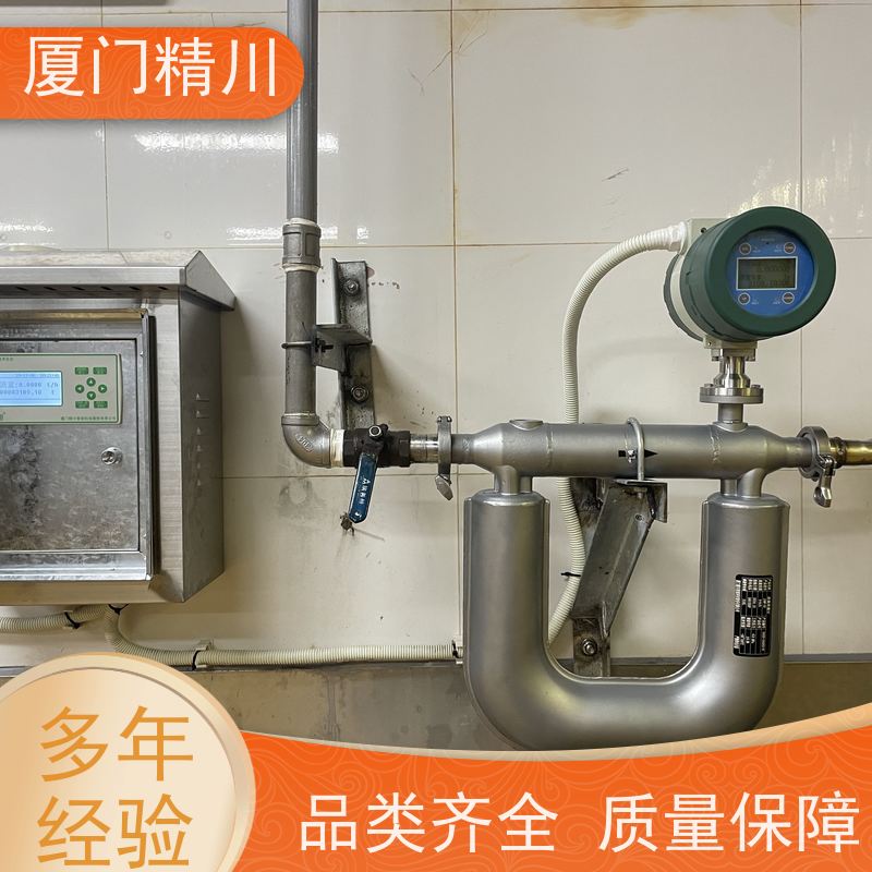 精川 锂电行业科氏力质量流量计 连接方式支持定制 有保障