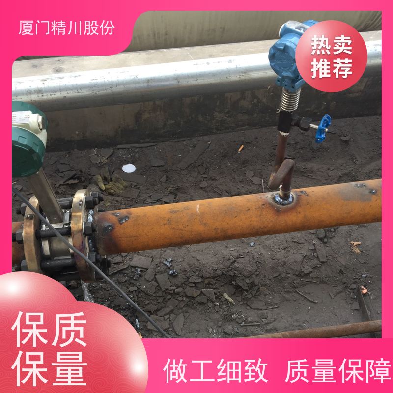 精川股份 人造革厂 涡街流量计 测量精度高 应用广泛