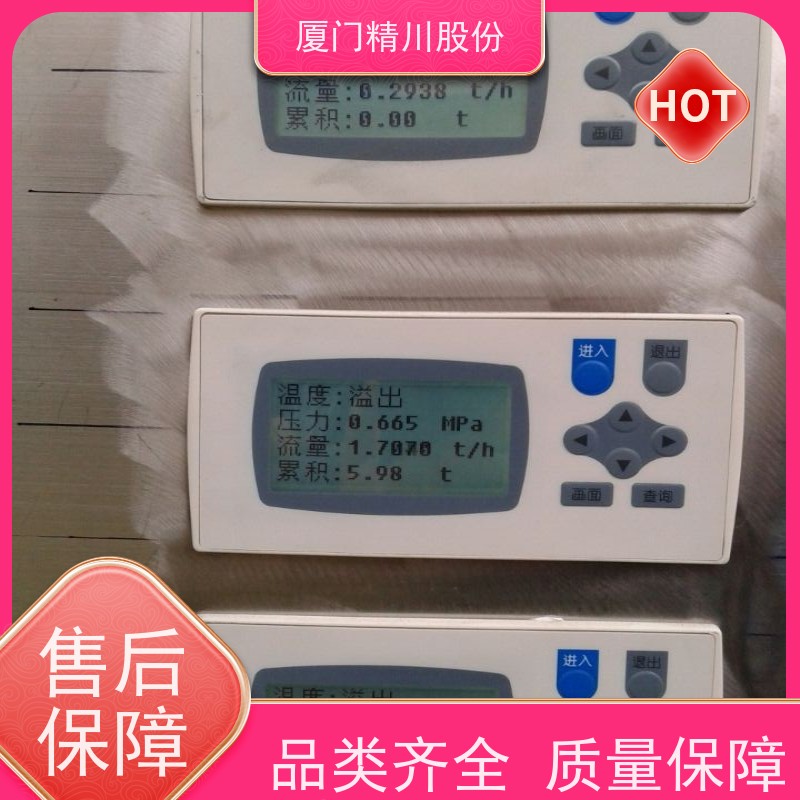 精川股份 制药厂 涡街蒸汽流量计 分体式温压补偿 源头生产厂家
