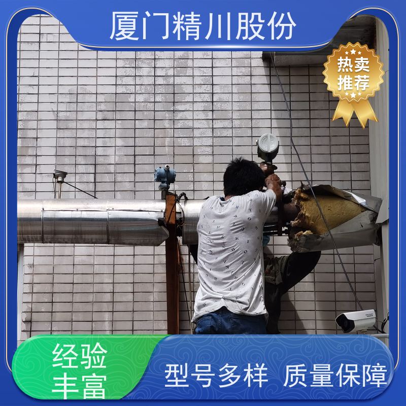 精川股份 电镀厂 气体涡街流量计 分体式温压补偿 源头生产厂家