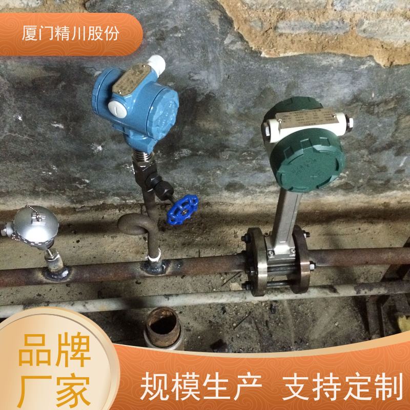 精川股份 电镀厂 涡街流量计 抗震性能好 源头生产厂家
