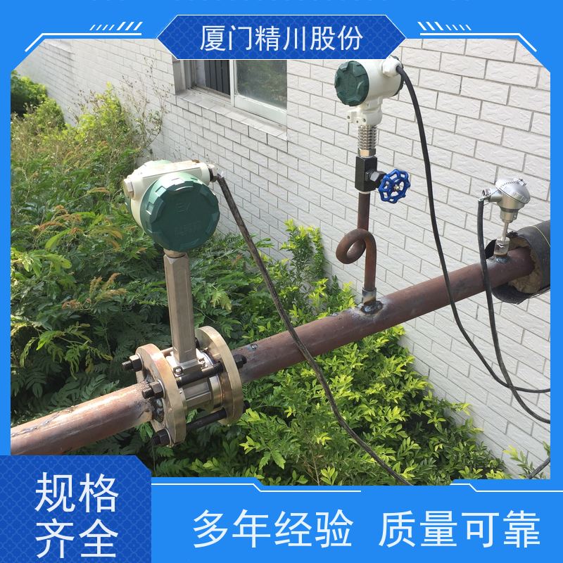 精川股份 合成革厂 导热油涡街流量计 一体式温压补偿 应用广泛