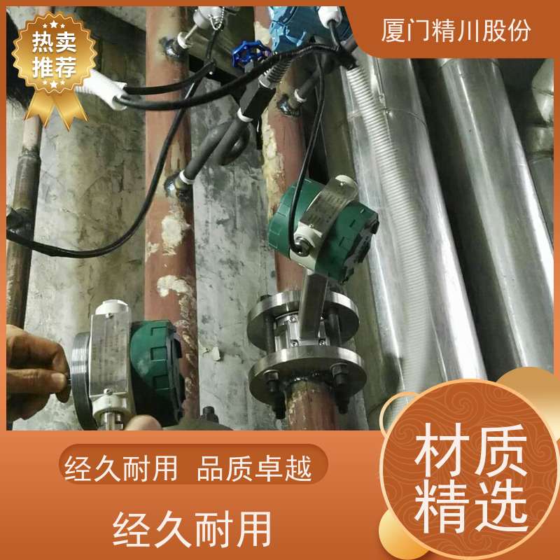 精川股份 皮革厂 蒸汽流量计 分体式温压补偿 应用广泛