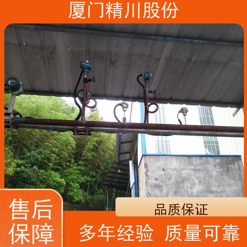 精川股份 印染厂 液体涡街流量计 可耐温350度 支持免费选型
