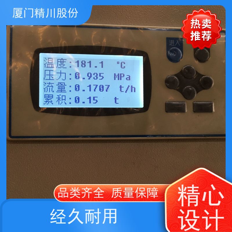 精川股份 空压机 涡街蒸汽流量计 分体式温压补偿 支持免费选型