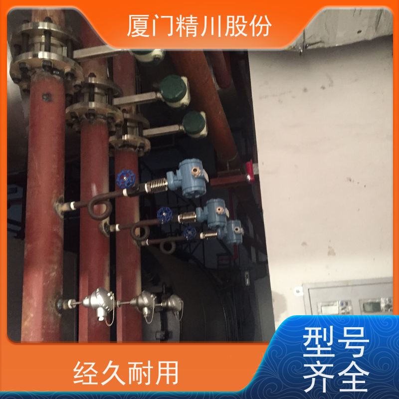 精川股份 人造革厂 压缩空气流量计 抗震性能好 服务量少