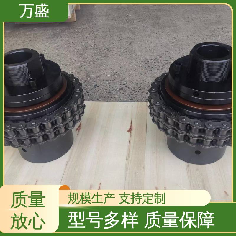 抗疲劳性好 造纸机专用 GL10 滚子链联轴器 万盛