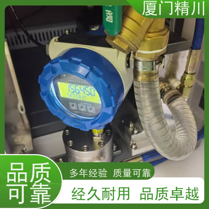 精川 AB胶 PEEK材质圆齿轮流量计 每台实标合格出厂 坚守品质