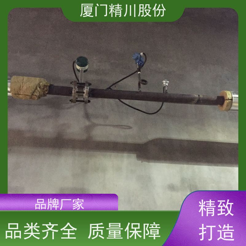 精川股份 包装厂 锅炉蒸汽流量计 分体式温压补偿 服务量少